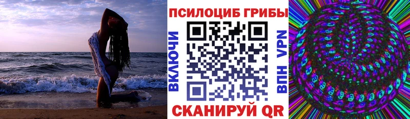 Псилоцибиновые грибы Psilocybine cubensis  блэк спрут ТОР  мориарти телеграм  Новоузенск 